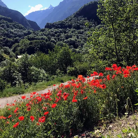 Les Coquelicots * Le Freney-dʼOisans